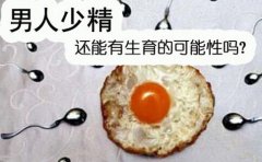 男性少精能不能治疗好